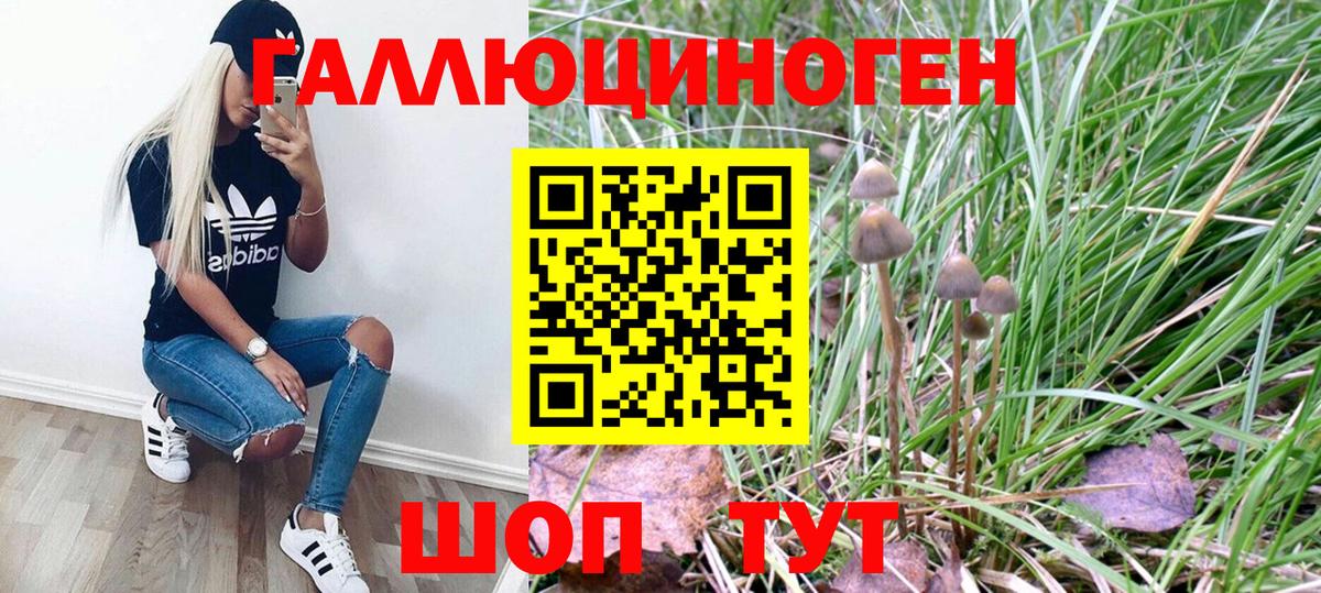 Псилоцибиновые грибы Psilocybe Карталы